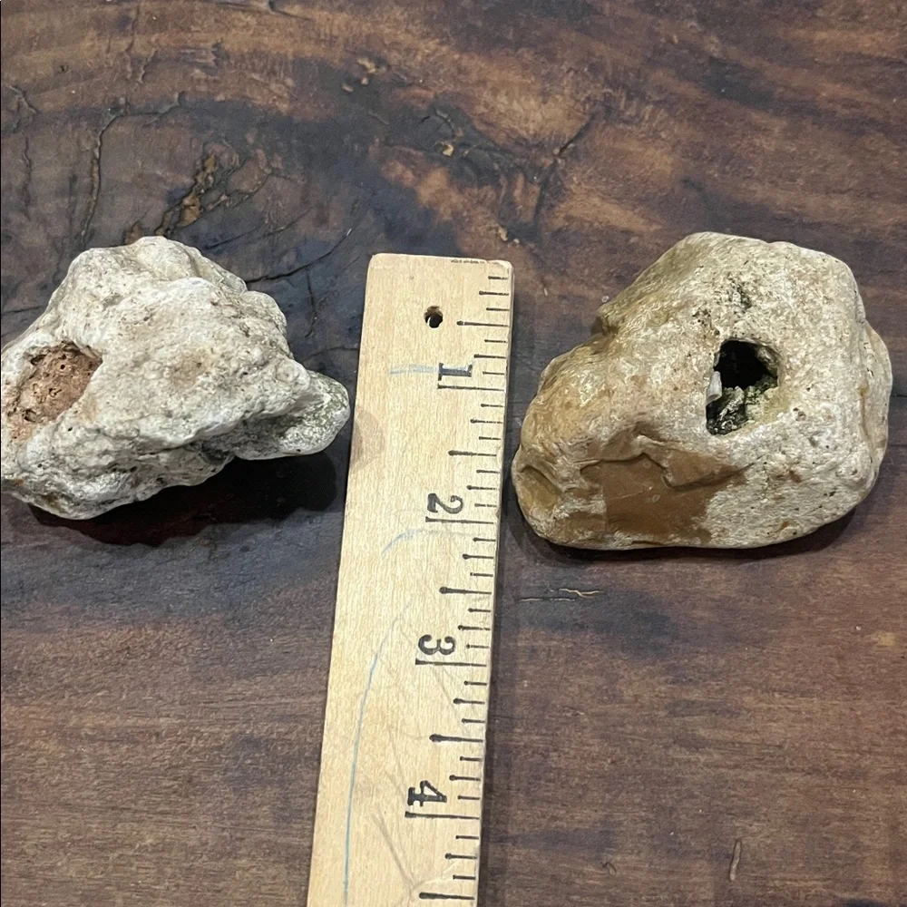 Natural Rock With Holes Found in off grid creek bed Southern TN Set of 2